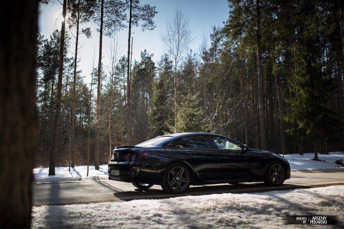 Фото БМВ В лесу