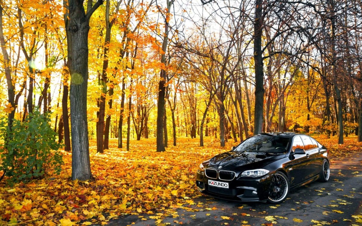 BMW m5 осень