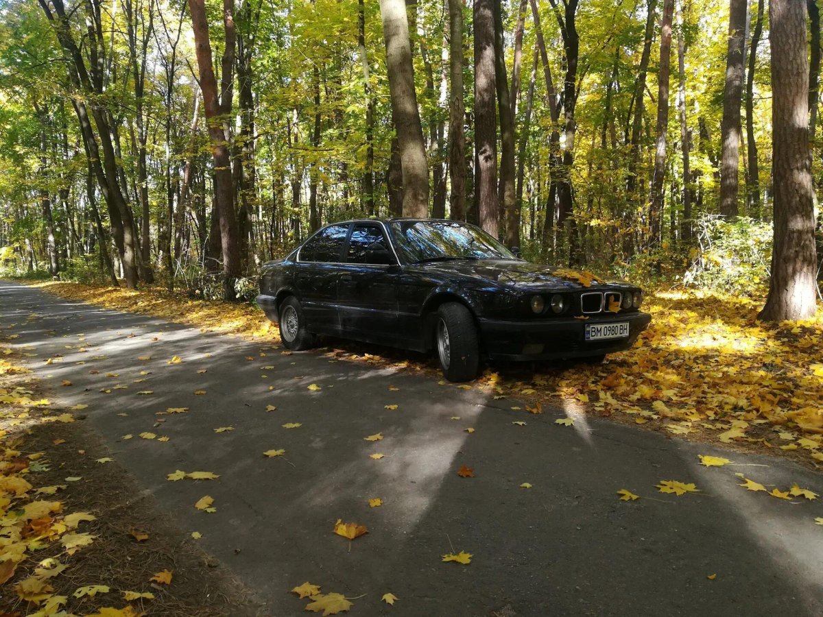 БМВ е30 в лесу