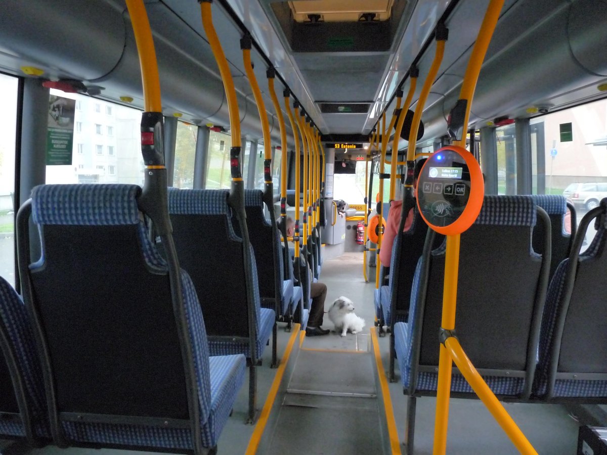 Автобус Скания Омни экспресс место водителя