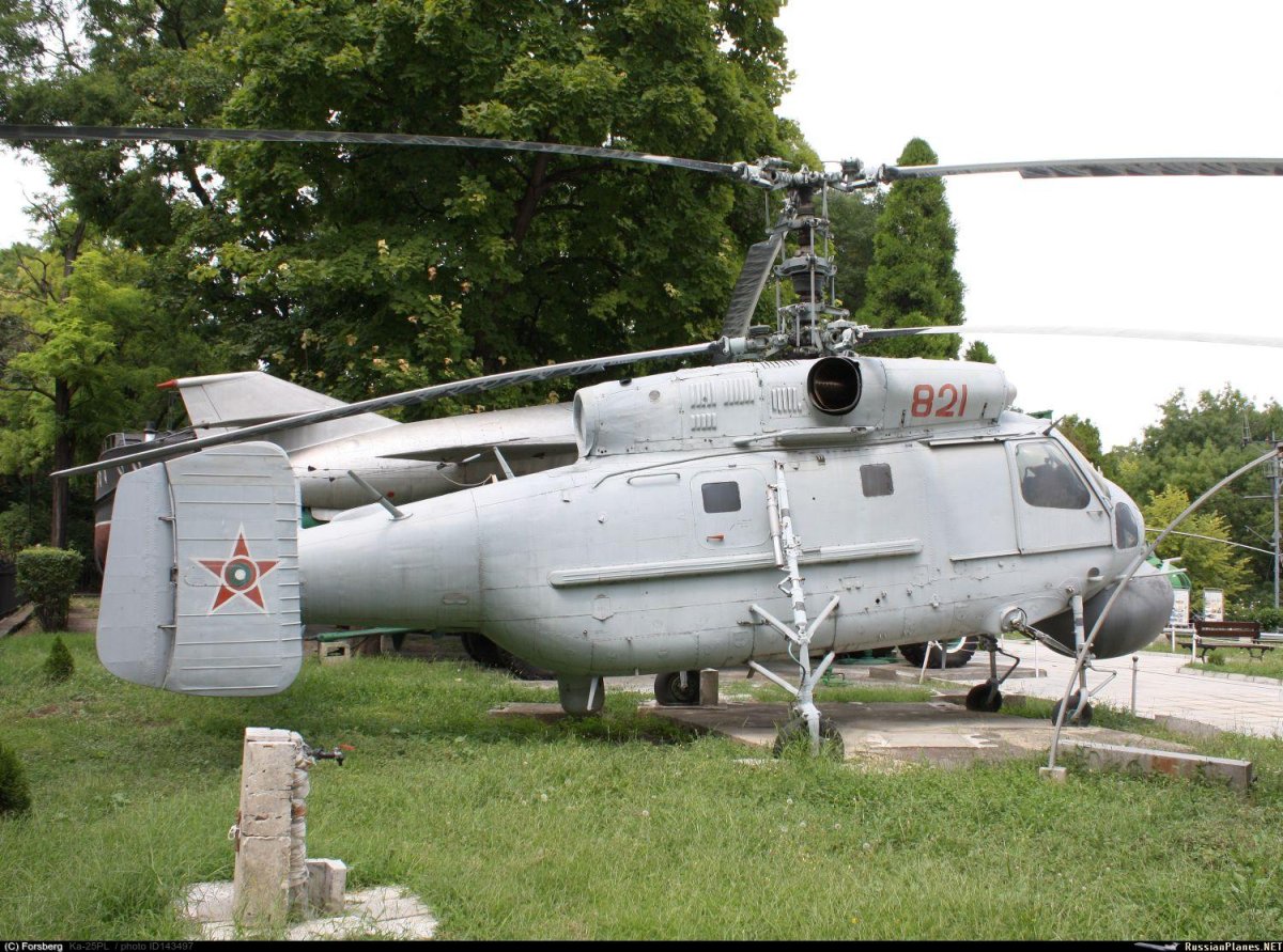 Ка-25 вертолет фото