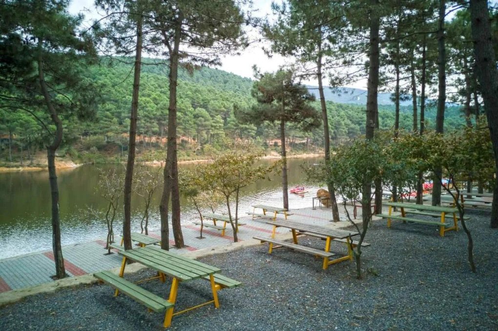 Hartra Ormani Турция