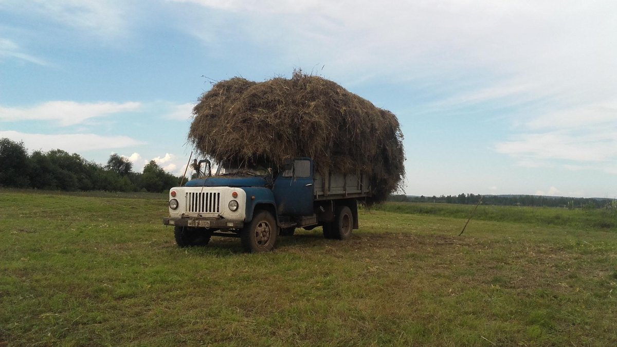 ГАЗ 53 груженый тюками сена