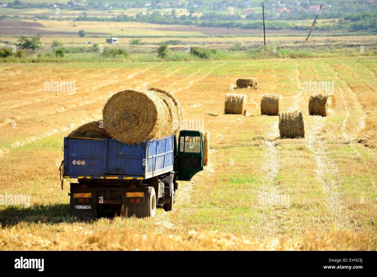 Грузовик с тюками сена