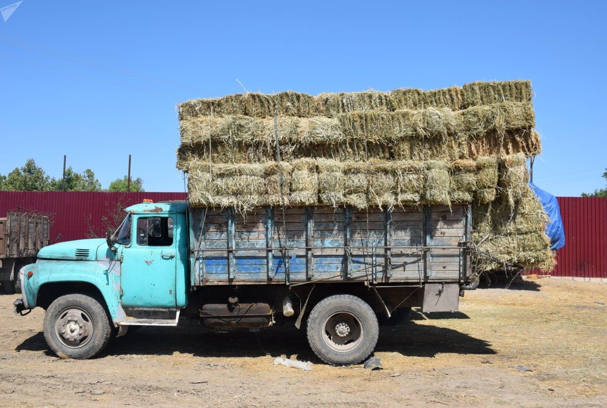 Сено на грузовике