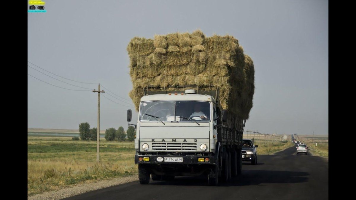 КАМАЗ 5320 сено