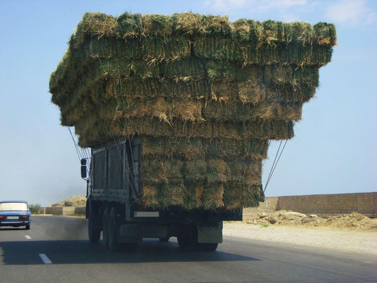 Нагруженная машина