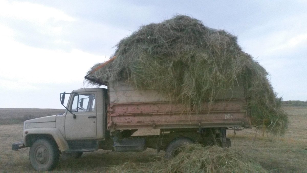 ГАЗ 3307 сеновозка