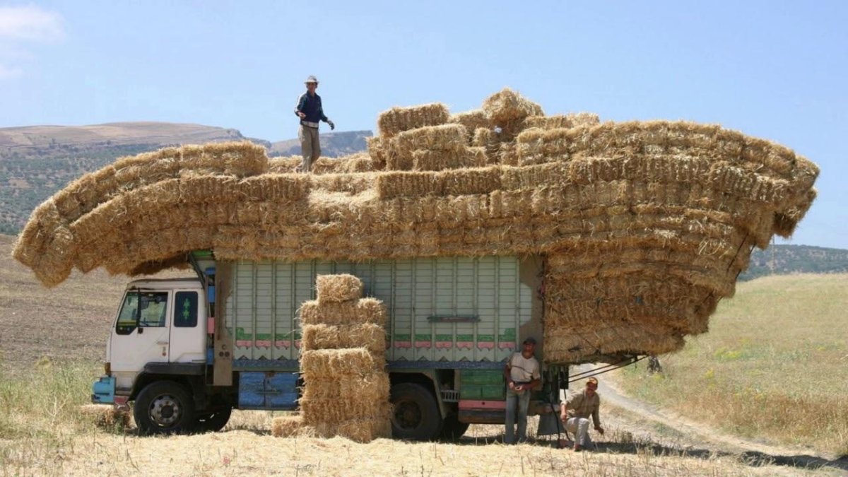Грузовой автомобиль сельское хозяйство