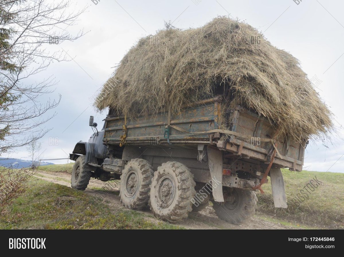 Картинка грузовик с сеном
