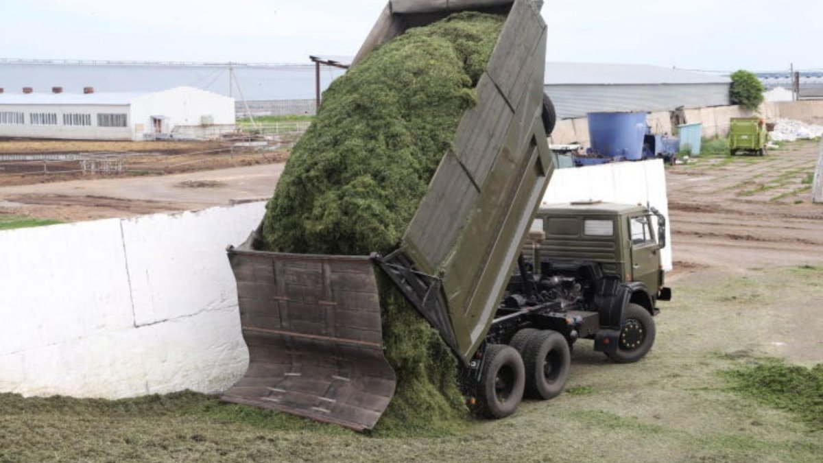 КАМАЗ на сенаж 5511