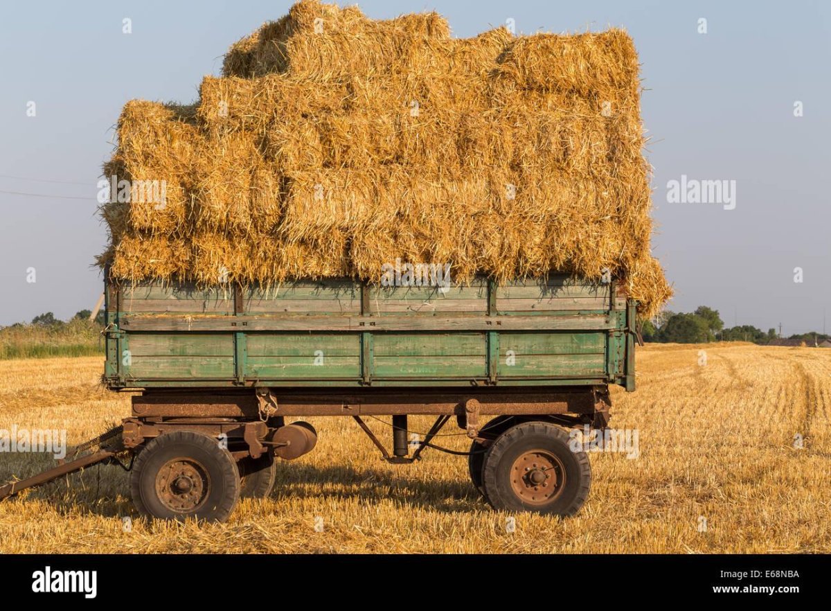 Телега с соломой