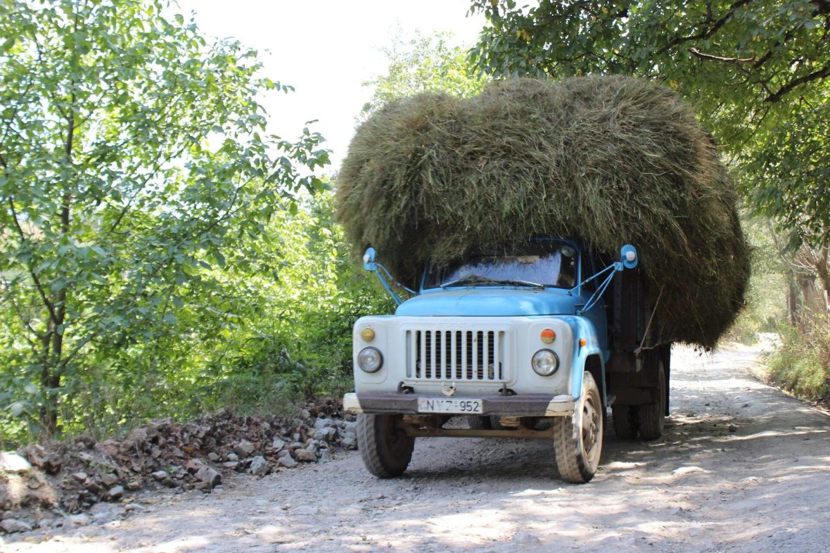 ГАЗ 53 самосвал везет сено