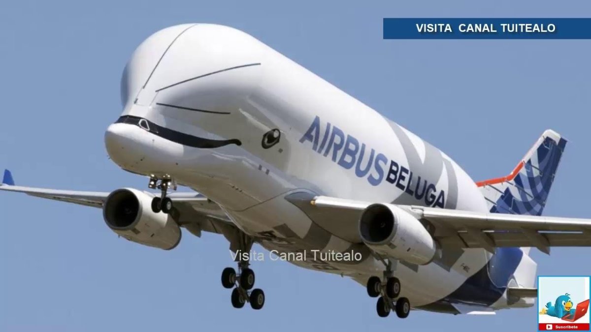 Airbus Beluga XL