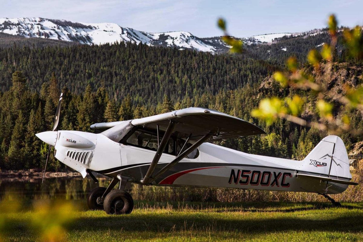 XCUB Cub