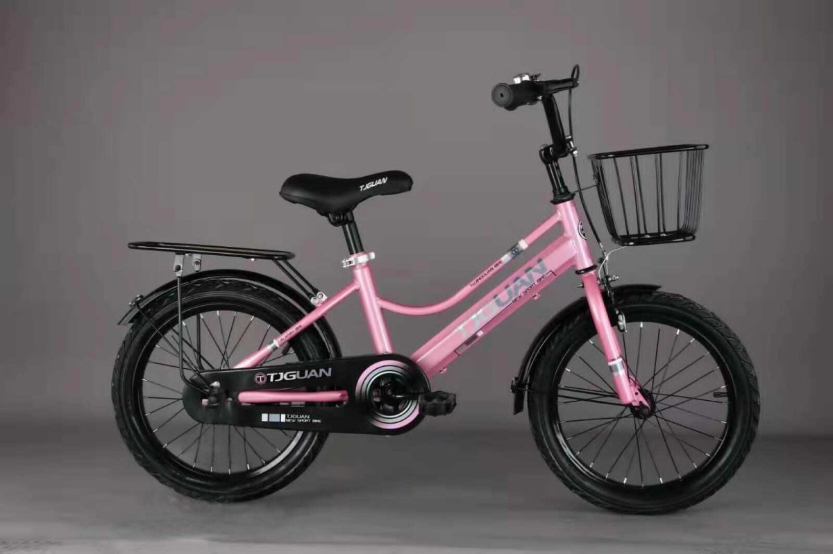 Maxiscoo Starlight 24