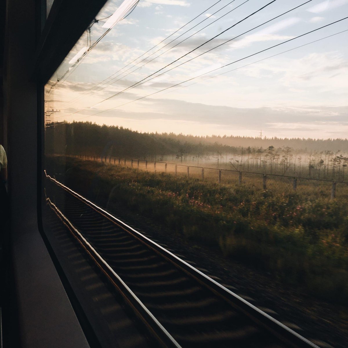 Вид с окна поезда
