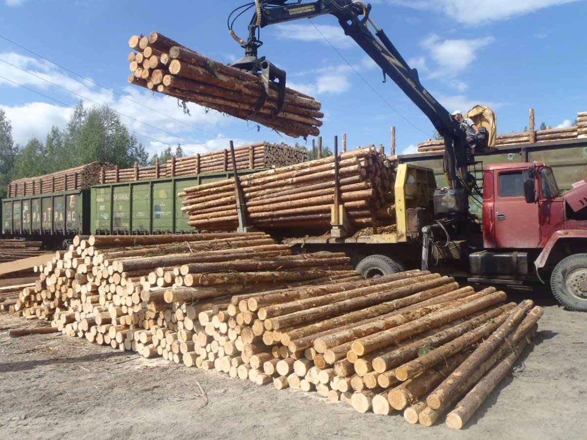 Штабелевка древесины это