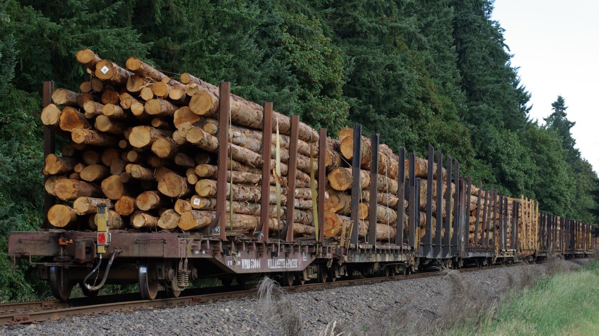Вагоны с лесом