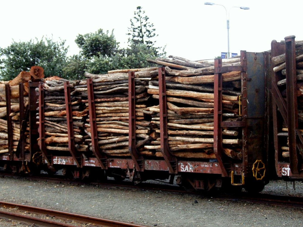 МТУ платформа 13-6895 погрузка пиломатериала