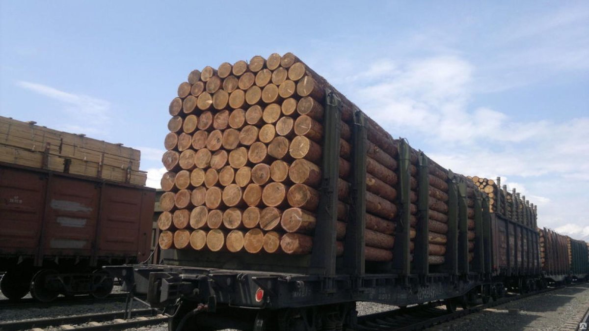 Вагоны с лесом