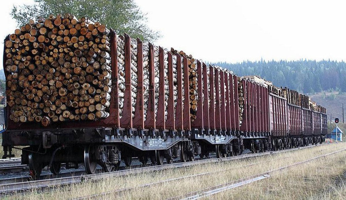 Вагоны с лесом