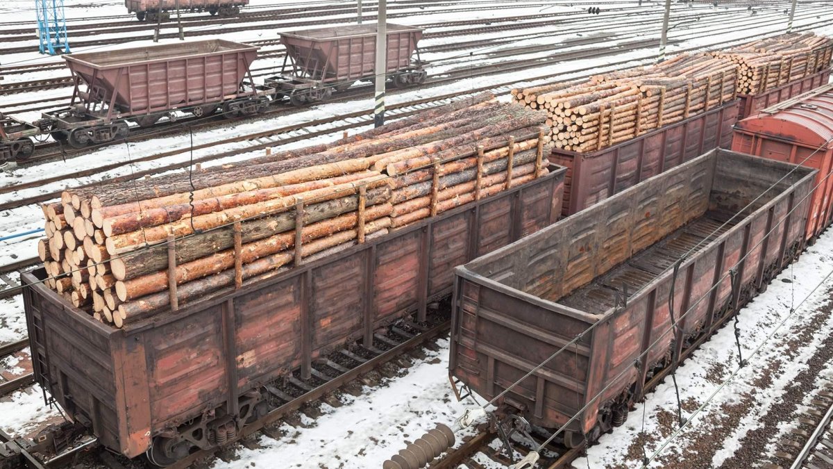 Полувагон с бревнами