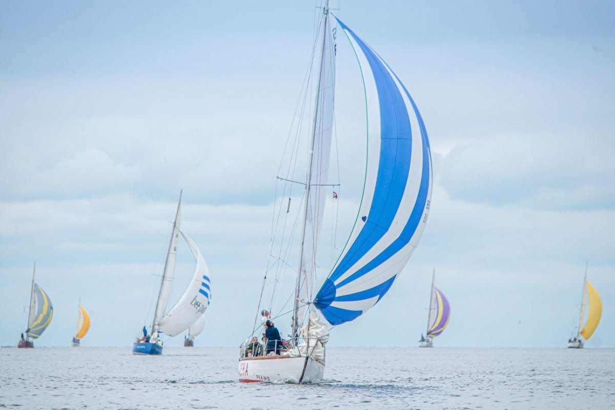 Парусный спорт