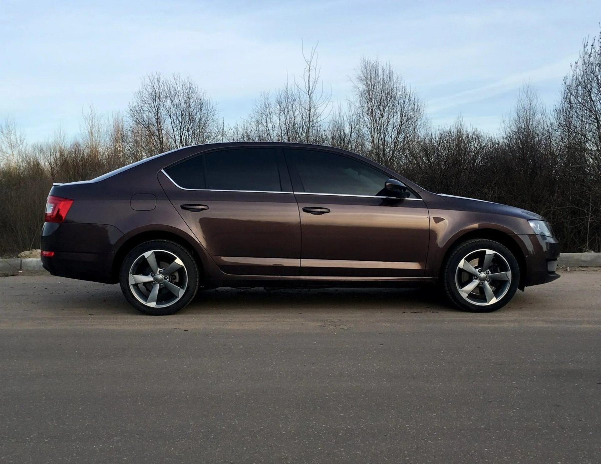 Skoda Octavia r17