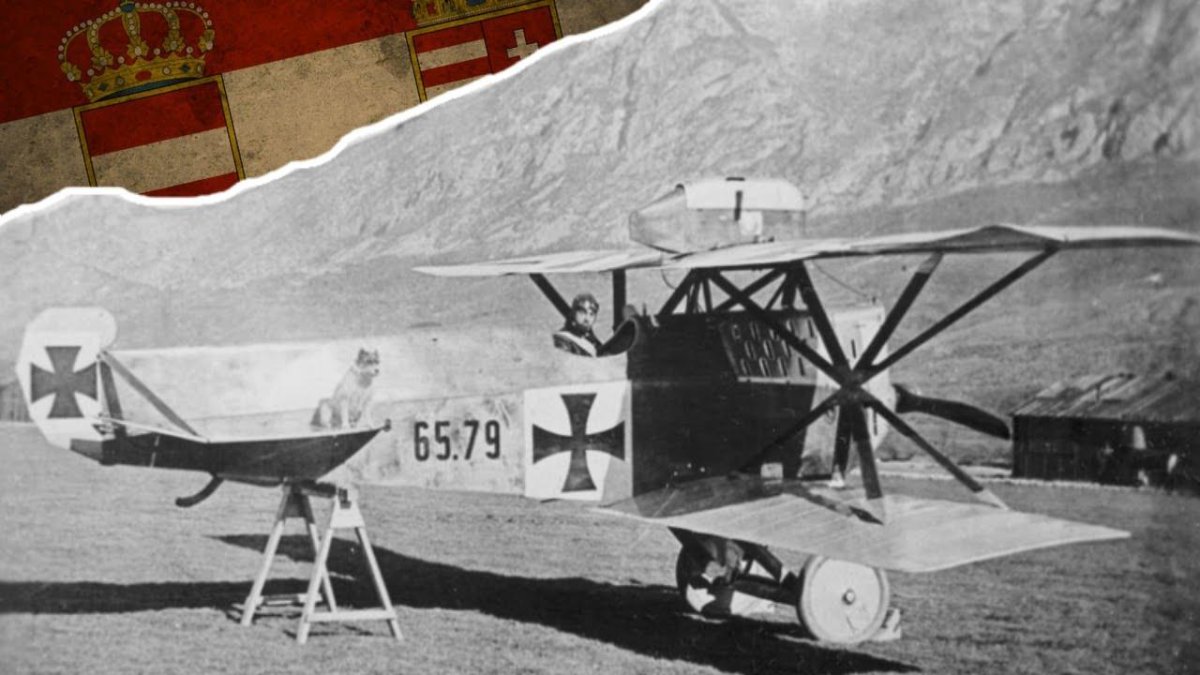 Austro-Hungarian plane