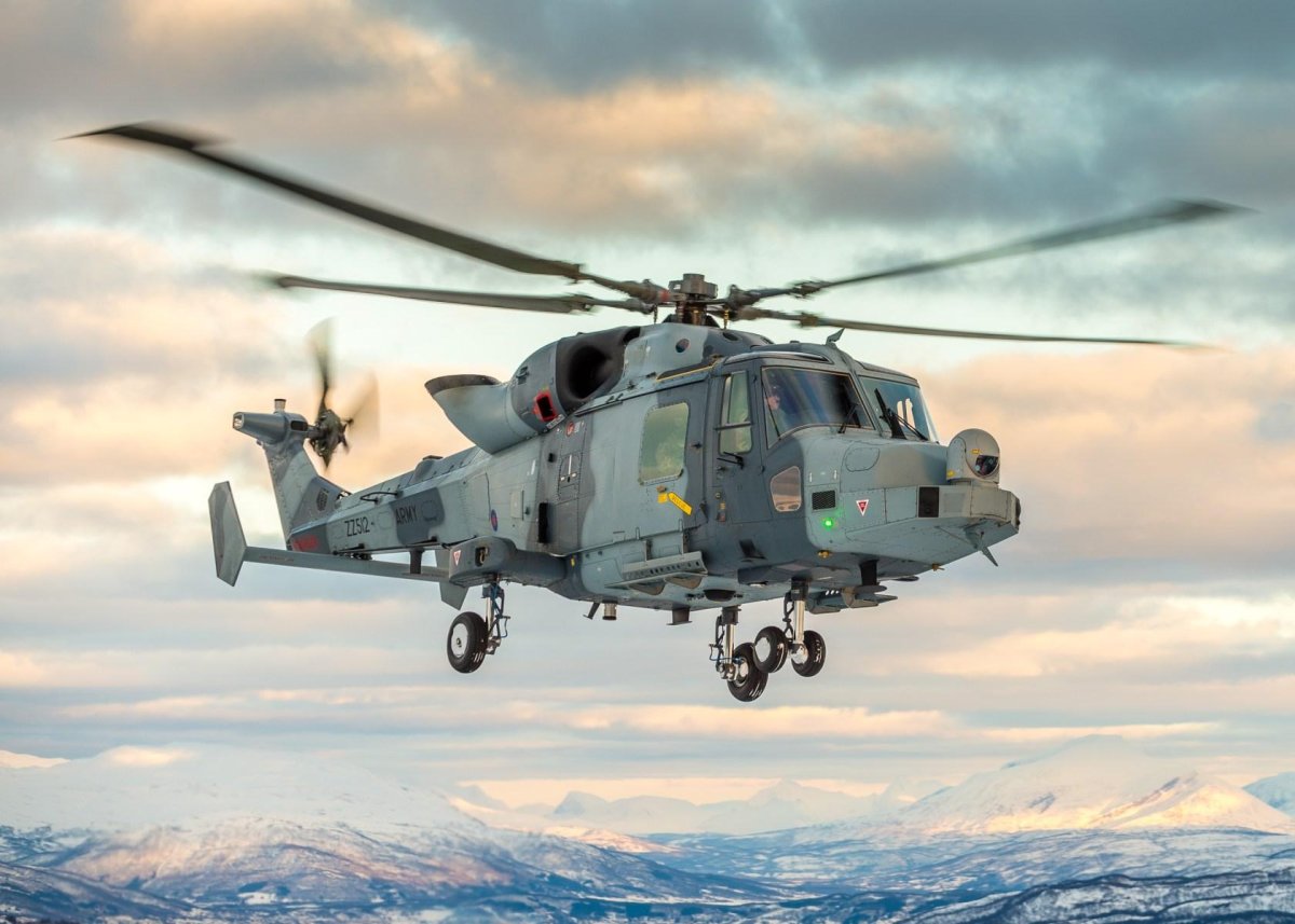 Ah11 Уайлдкэт