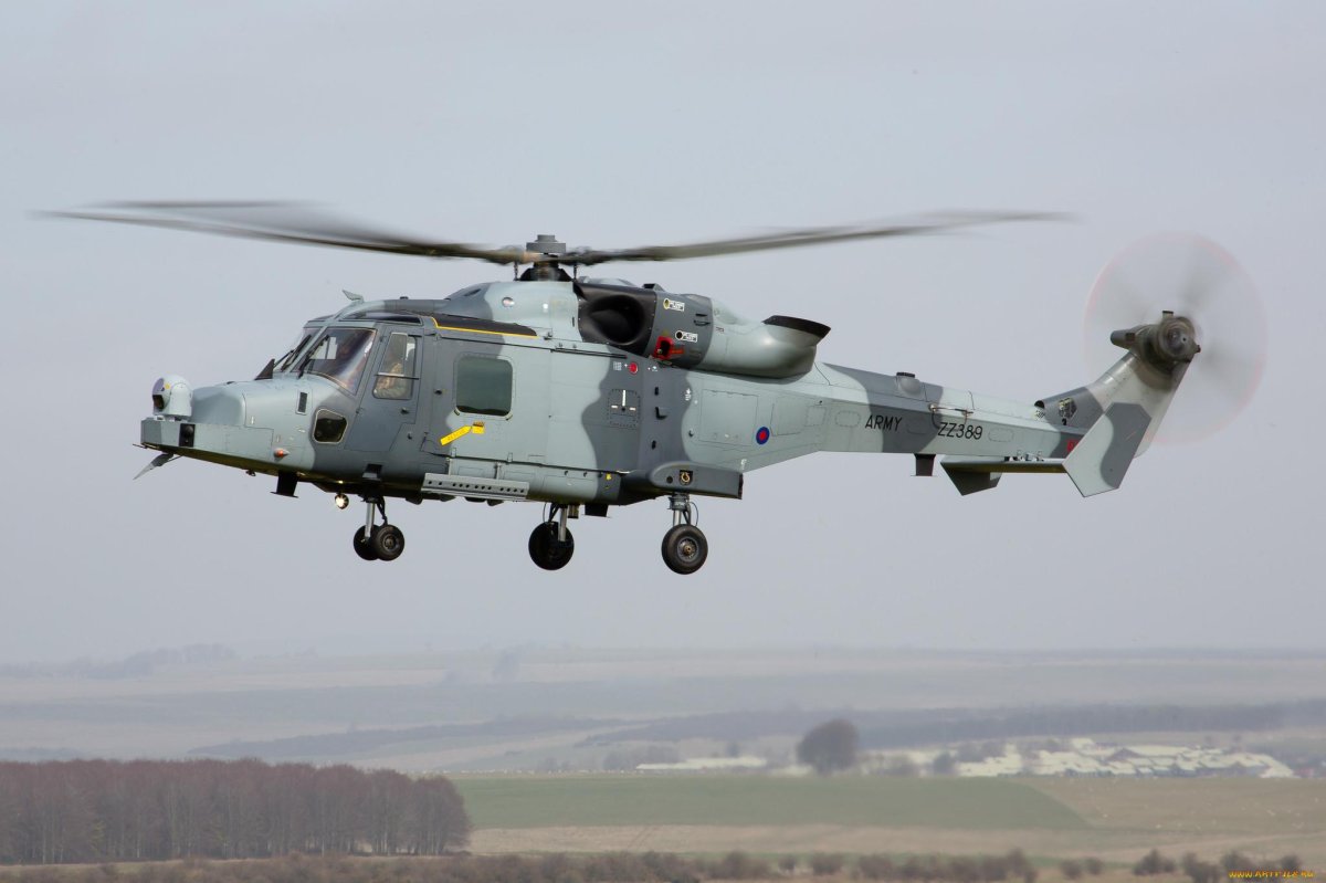 Aw159 Wildcat