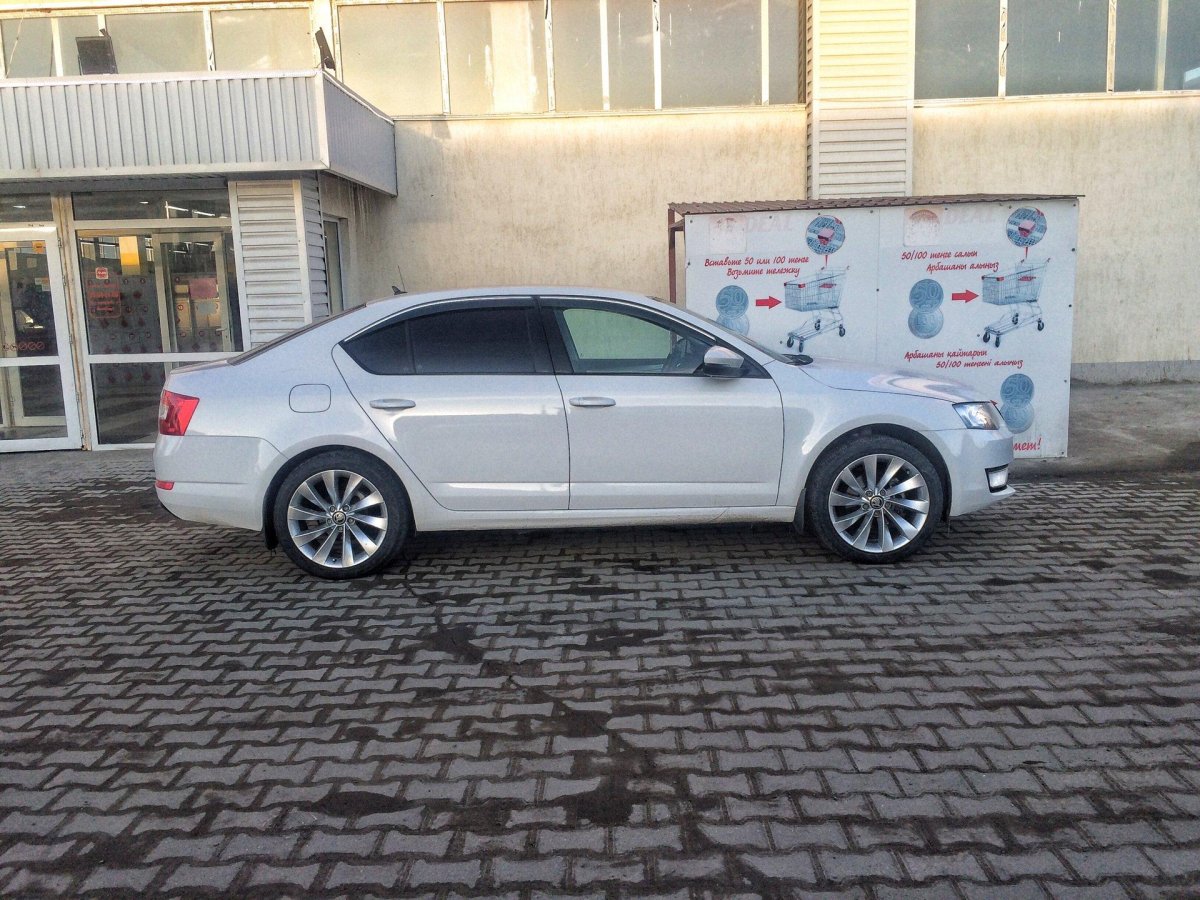 Interlagos r18 Octavia a5