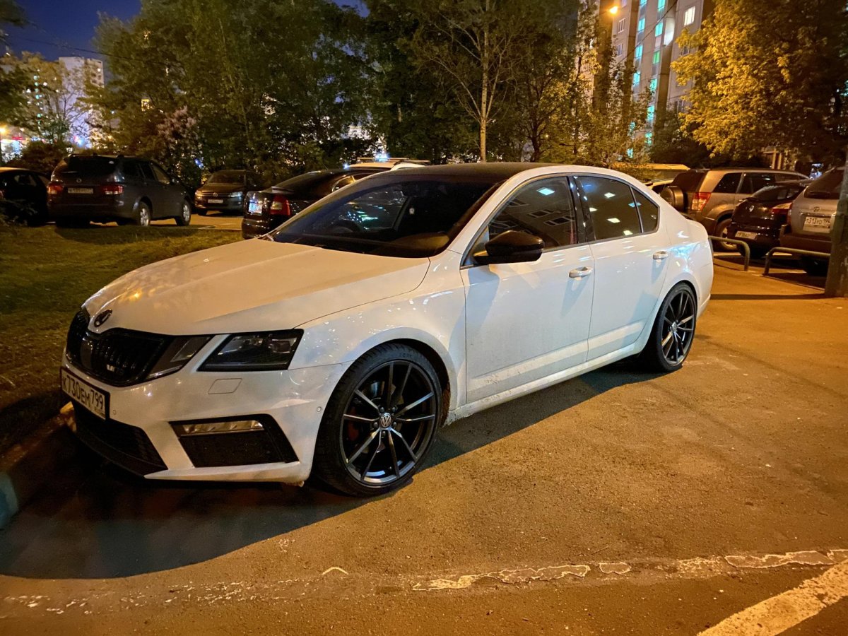 Octavia r19