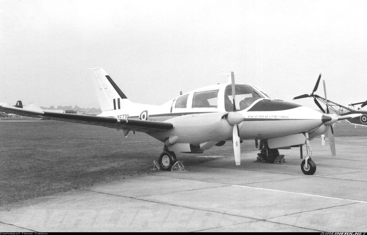 Beagle b.206