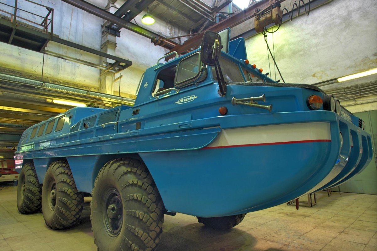 ЗИЛ 49065 синяя птица