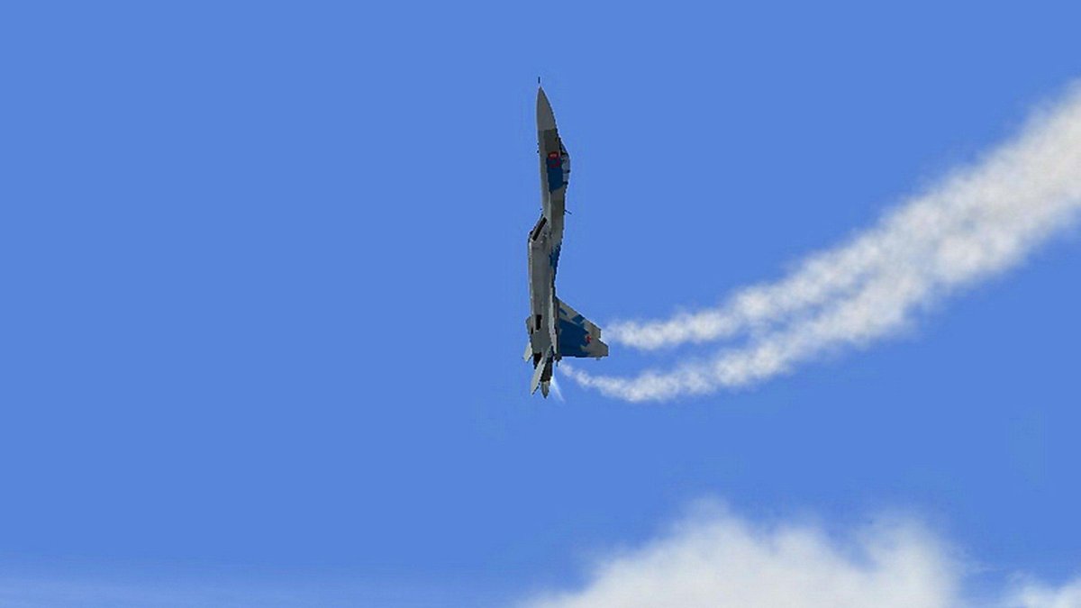 Су-27 Кобра Пугачева