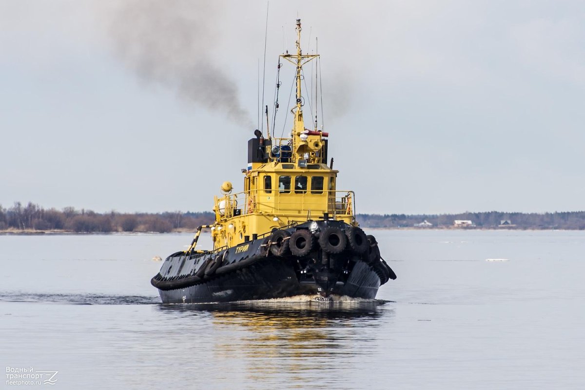 Буксир Турий Архангельск