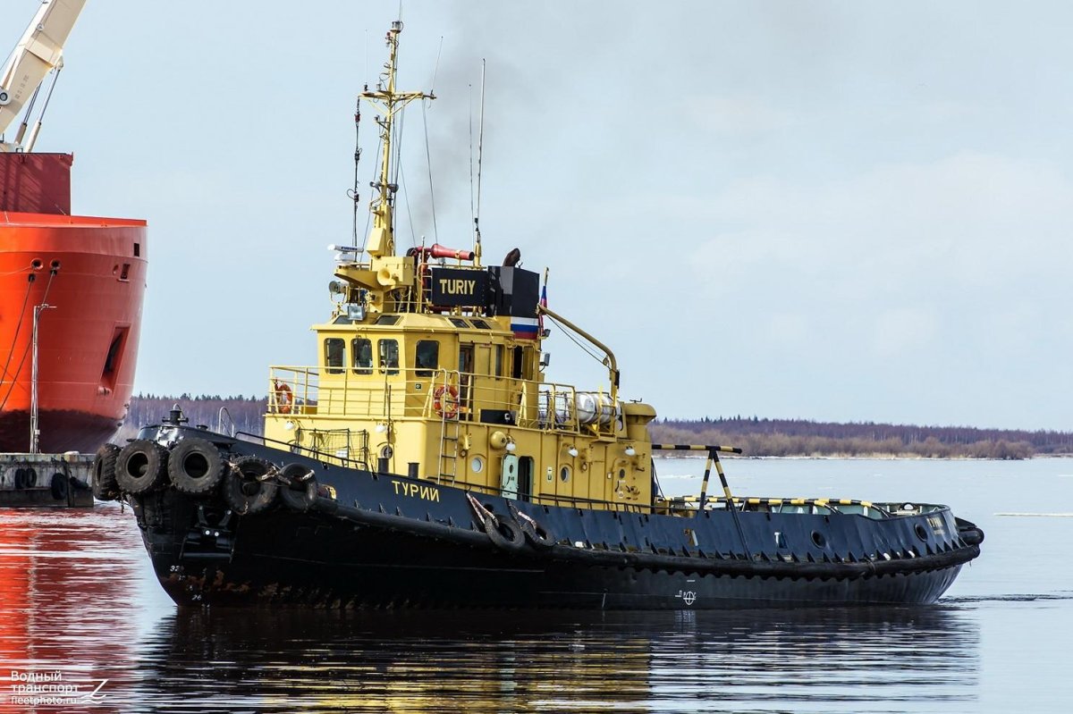 Буксир Турий Архангельск