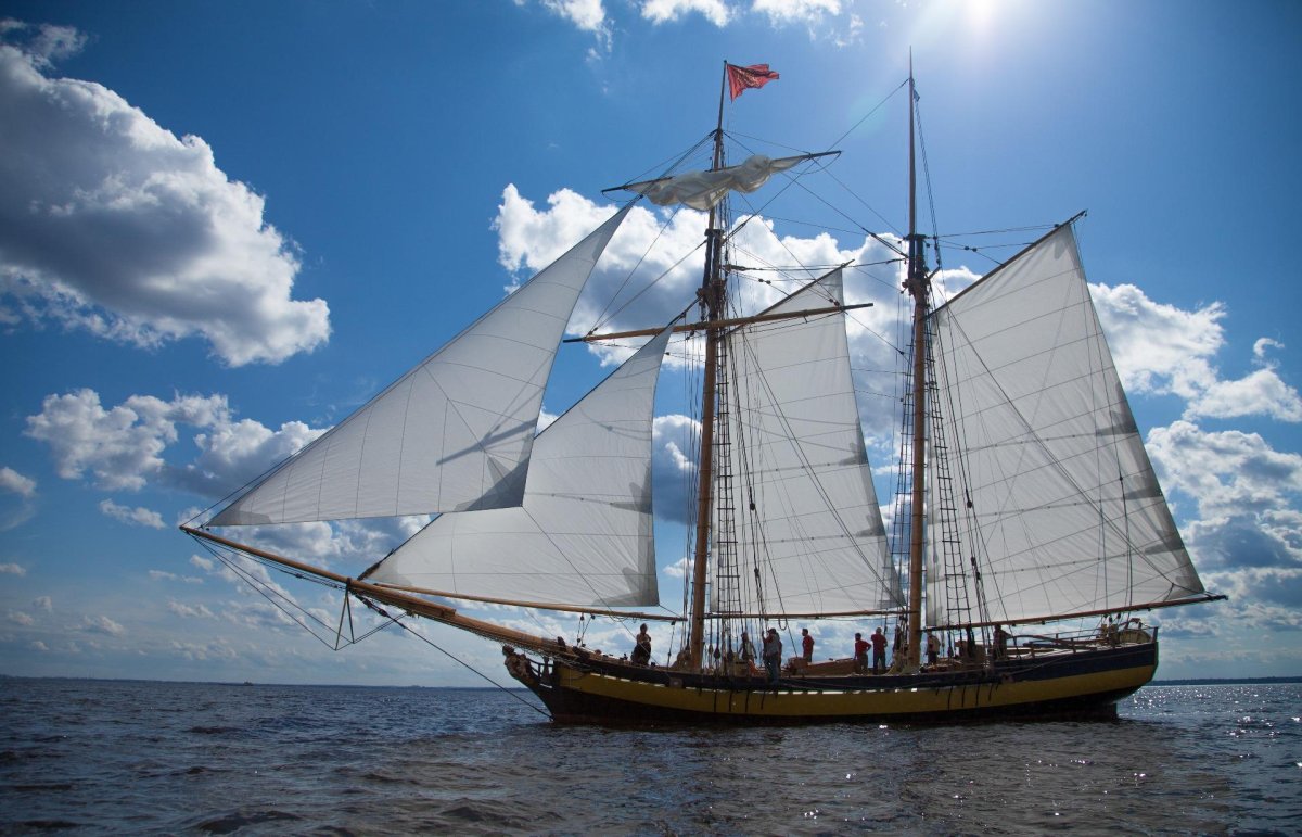 Фрегат Каравелла Бриг Корвет клипер