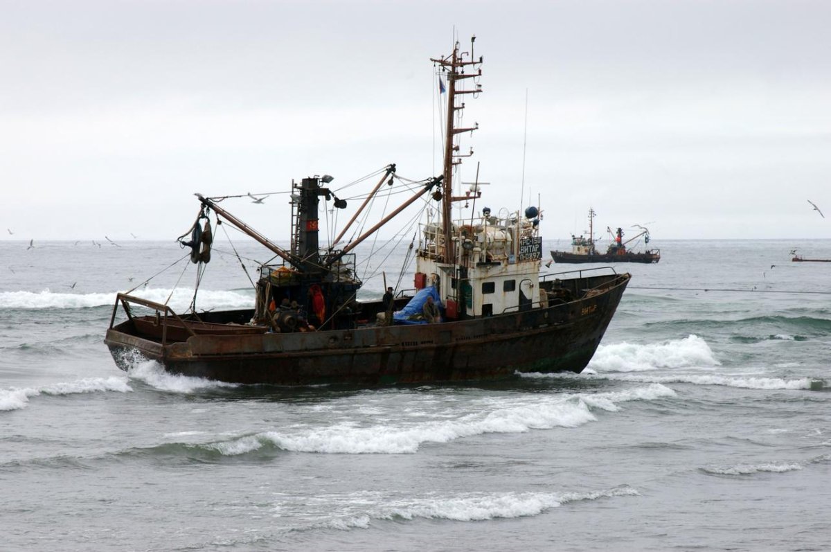 Сейнер МРС 150