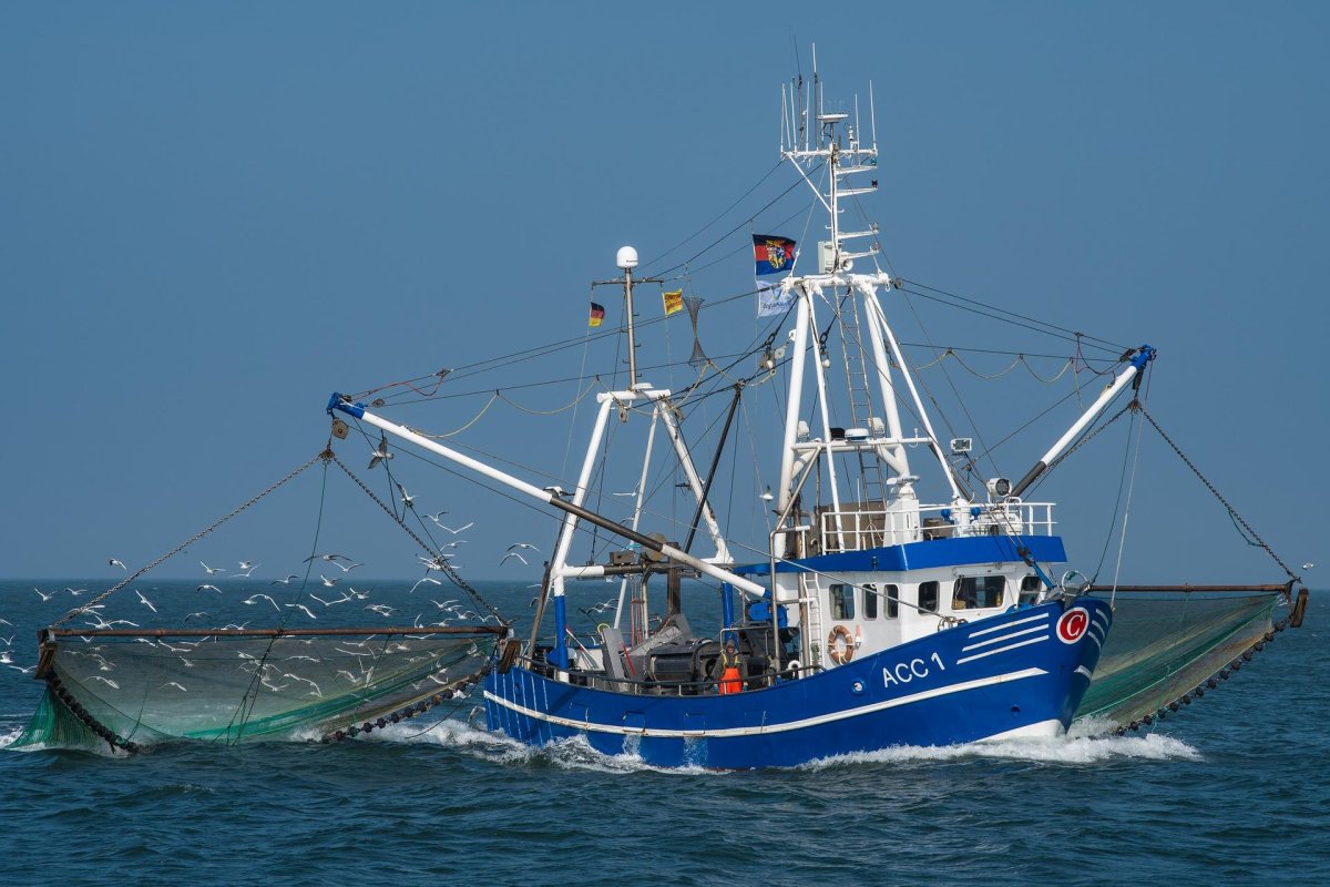 Японская шхуна краболов