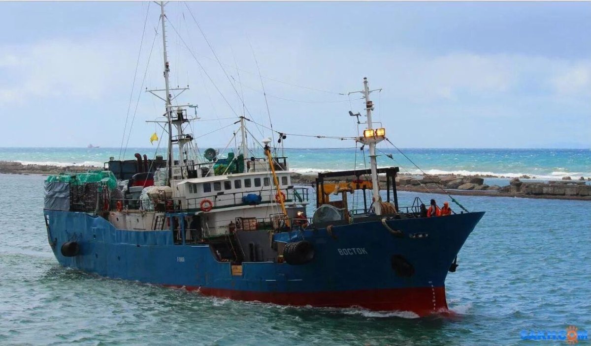 Пегас судно Владивосток