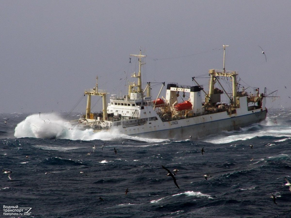 БАТМ Порфирий Чанчибадзе