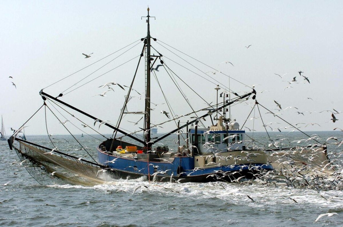 Трал 520 рыболовецкий