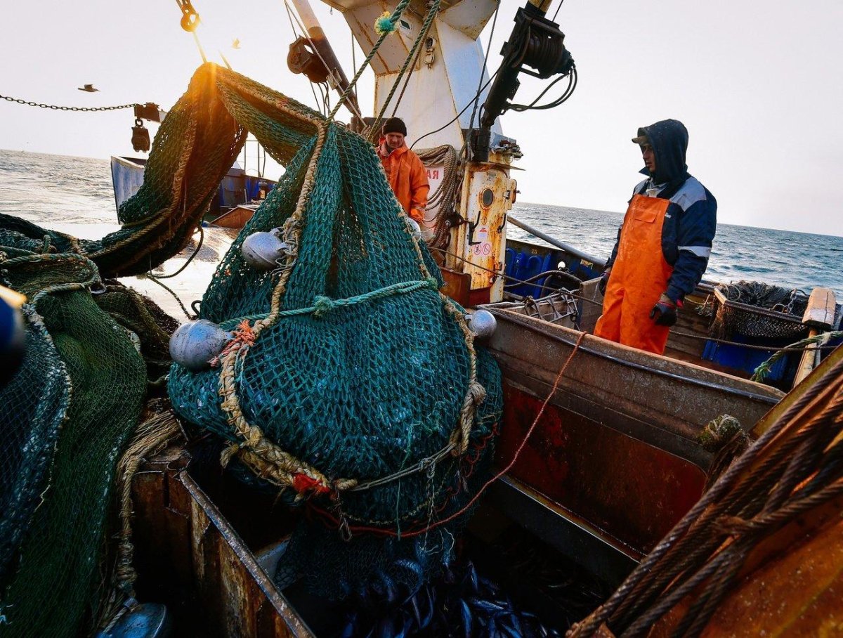 Рыболовецкий сейнер