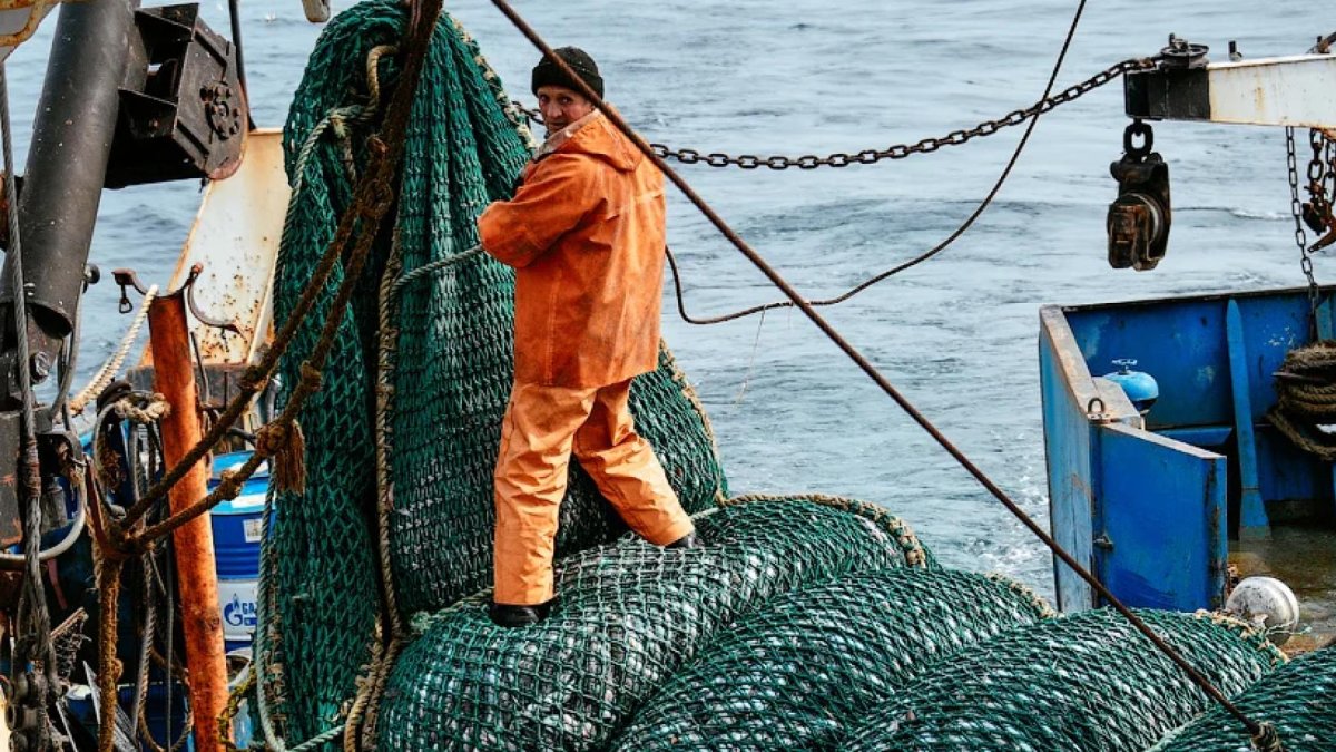 Рыбацкий промысел