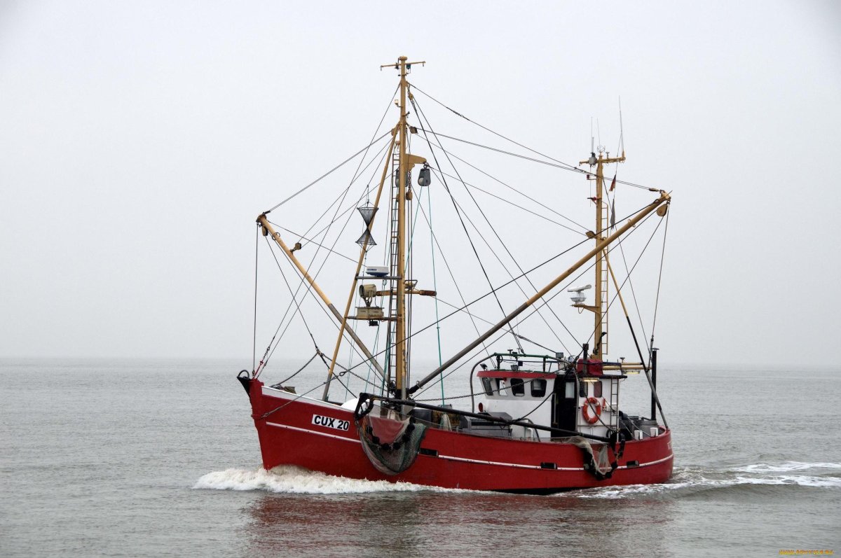Траулер-сейнер «Василий Каплюк»