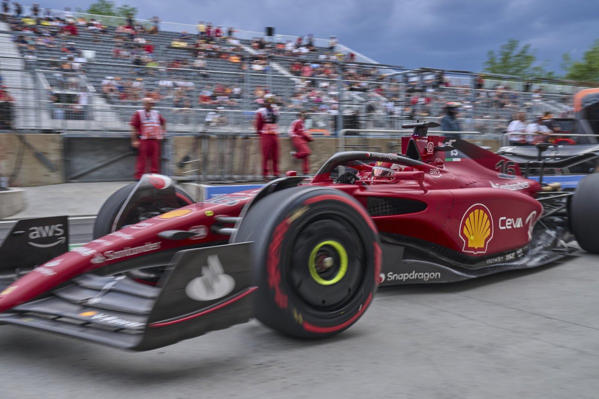 Ammaniti n. "Branchie"