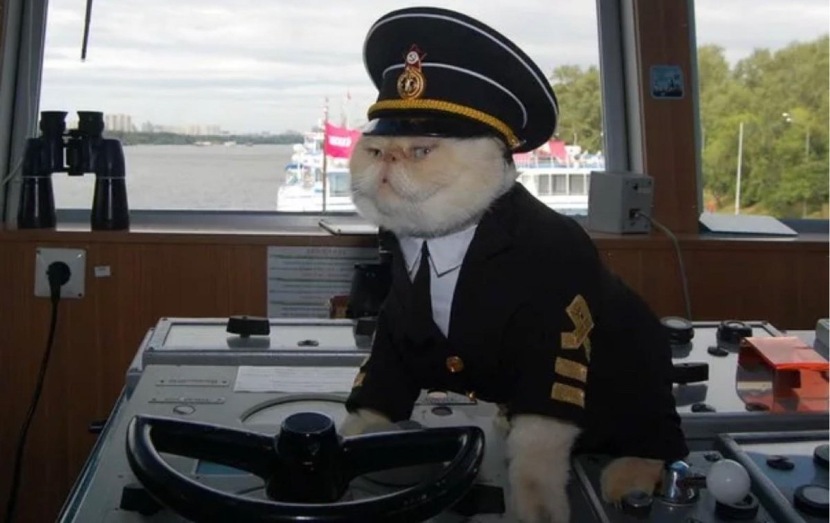 Кот матрос теплоход Николай Чернышевский